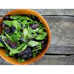 Mix French Salad Seeds 