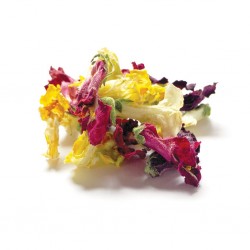 Edible Dried Snap-Dragon Flowers