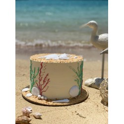 Summer Beach Cake 